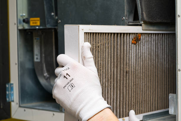 Best Dryer Vent Cleaning Services  in Fremont, CA