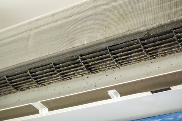Best Air Vent Cleaning Services  in Fremont, CA